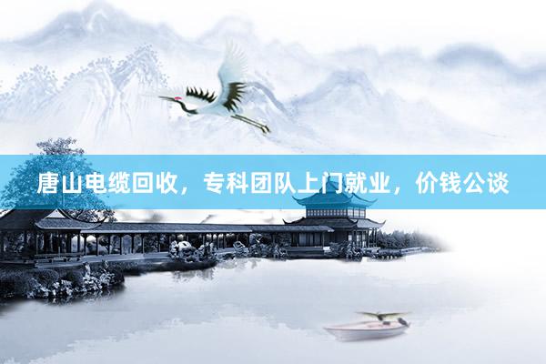 唐山电缆回收，专科团队上门就业，价钱公谈